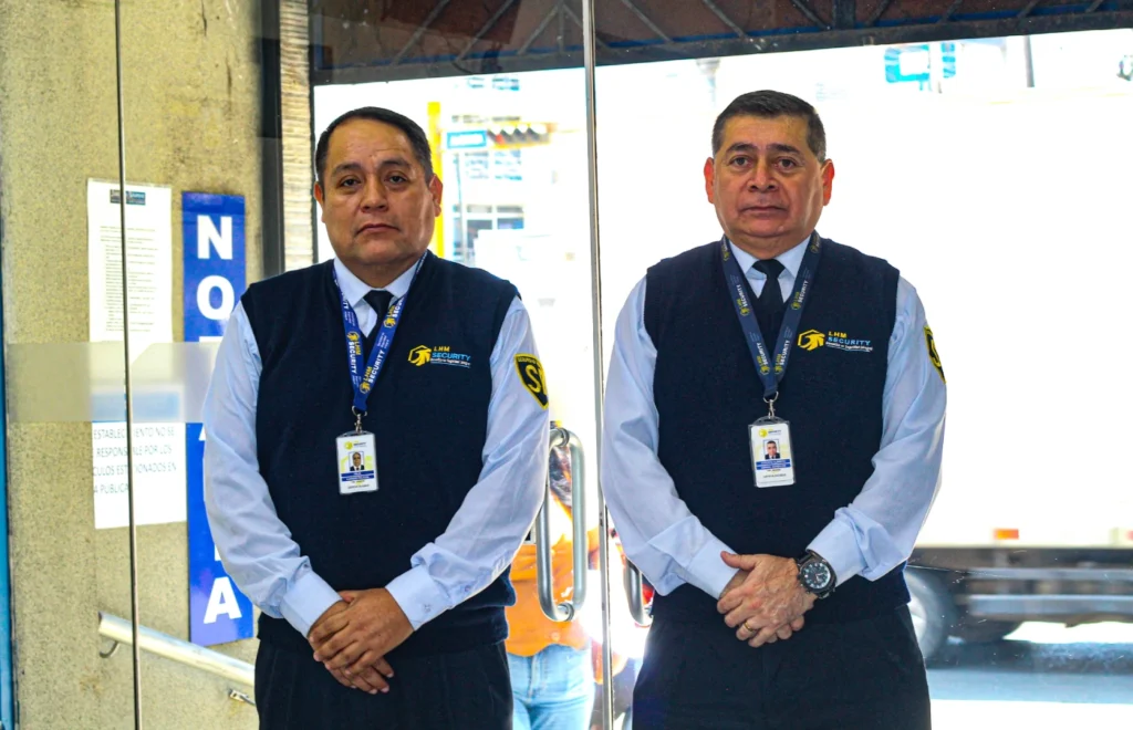 AVP DE SERVICIO DE VIGILANCIA